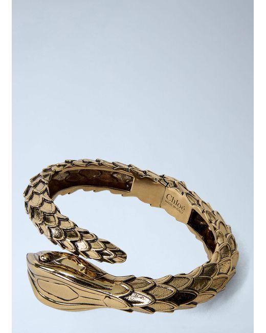 Chloé Blue Chloã Snake Bracelet