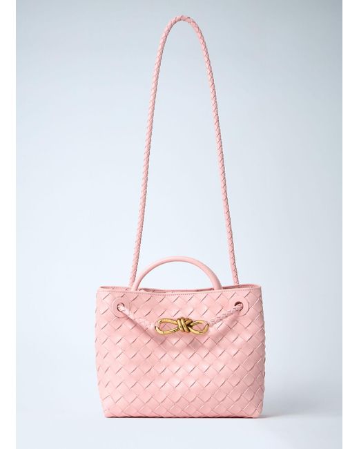 Bottega Veneta Pink Small Andiamo Handbag