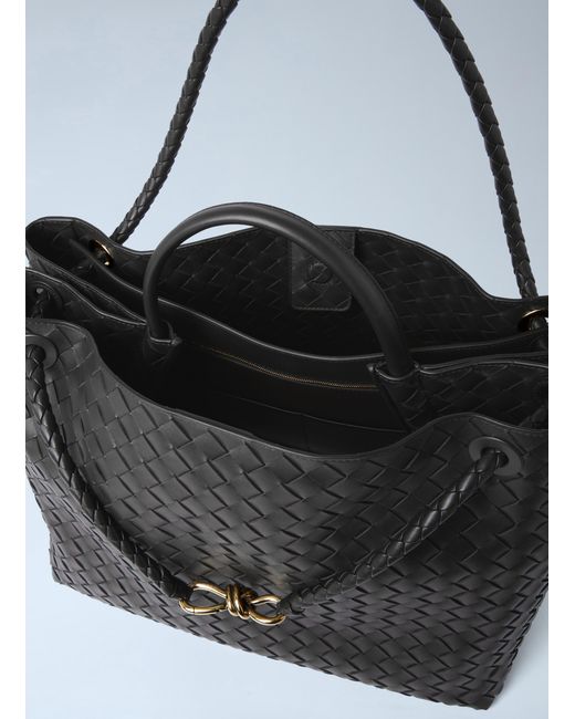 Bottega Veneta Natural Large Andiamo Handbag