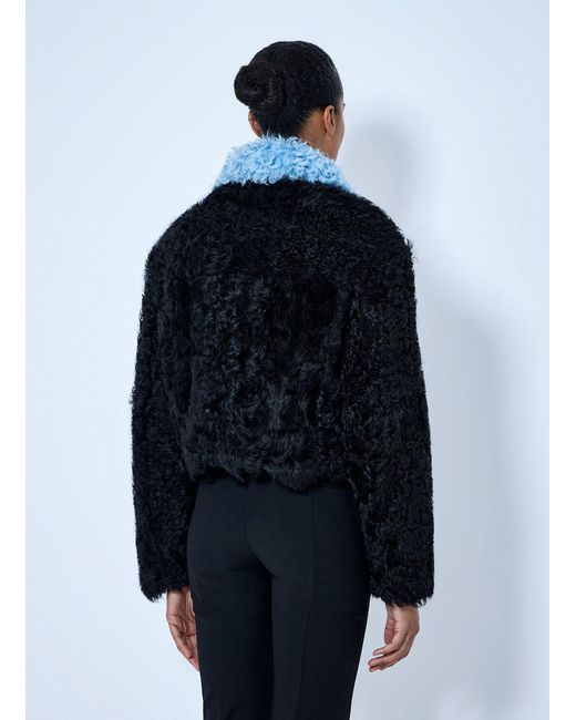Marni Blue Curly Shearling Jacket