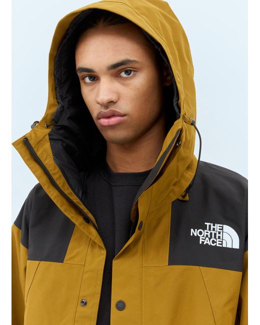 The North Face Green Gtx Mountain Jacket for men