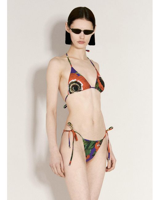 Dolce & Gabbana Natural Logo And Anemone Print Triangle Bikini