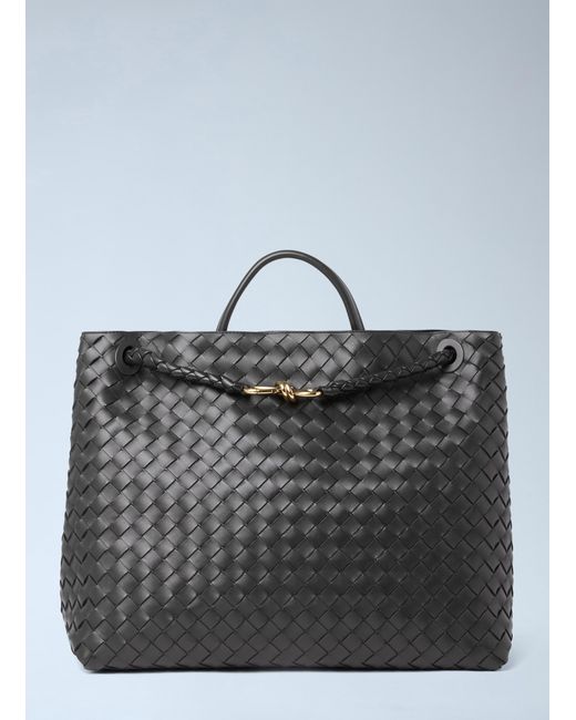 Bottega Veneta Natural Large Andiamo Handbag