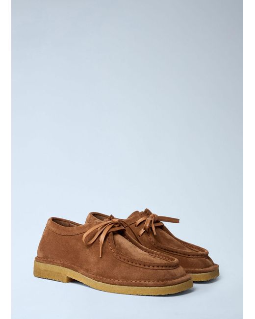 Bottega Veneta Brown Daddy Lace-Up Shoes