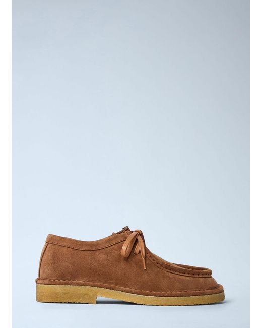 Bottega Veneta Brown Daddy Lace-Up Shoes
