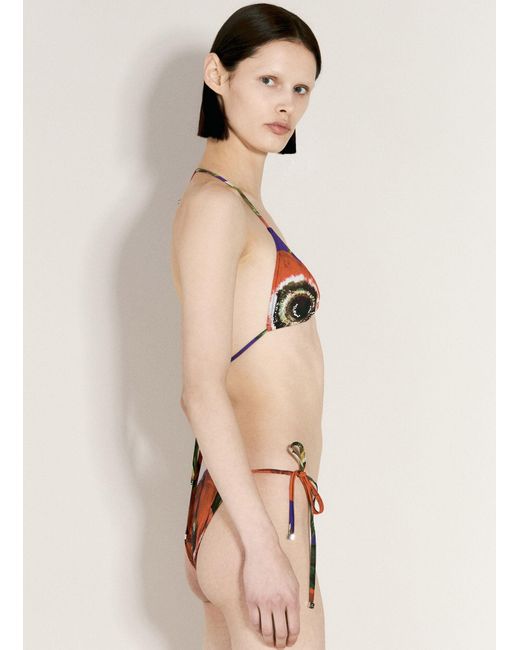 Dolce & Gabbana Natural Logo And Anemone Print Triangle Bikini