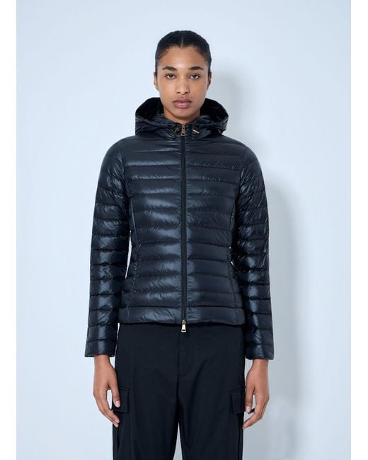 Moncler Blue Igelhood Short Down Jacket