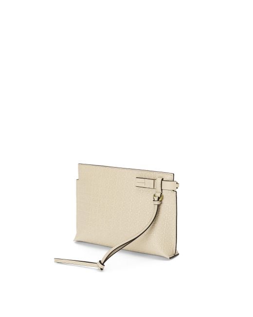 loewe pouch