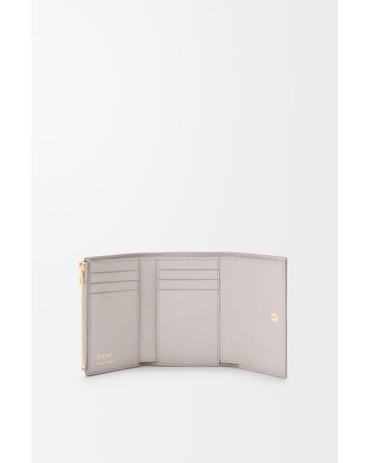 Loewe Multicolor Small Vertical Wallet