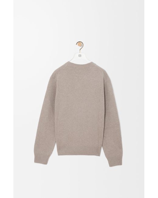 Loewe Natural Sweater for men