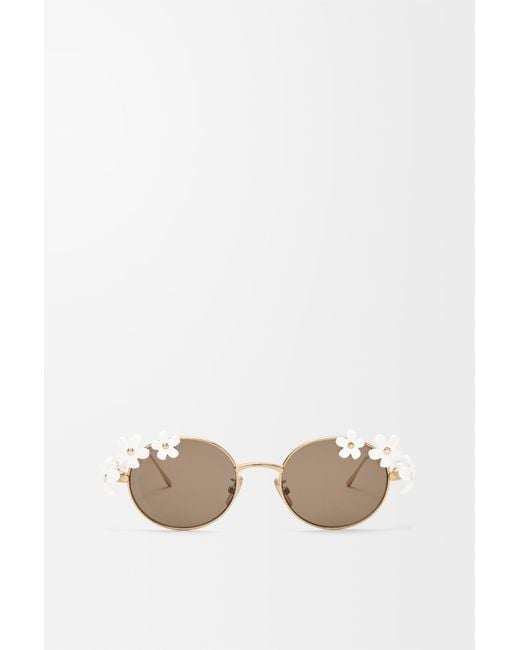 Loewe White Daisy Field Sunglasses For