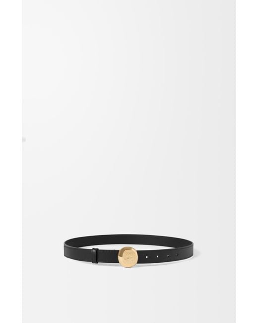 Loewe Multicolor Luxury Pebble Belt In Smooth Calfskin