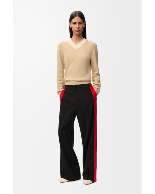 Loewe Multicolor Sweater