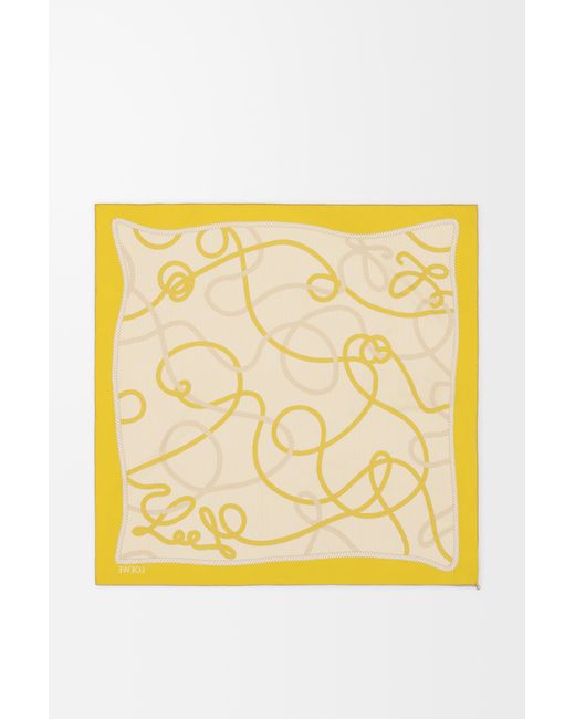 Loewe Natural Scarf