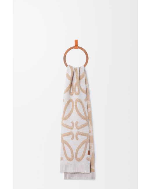 Loewe Multicolor Scarf