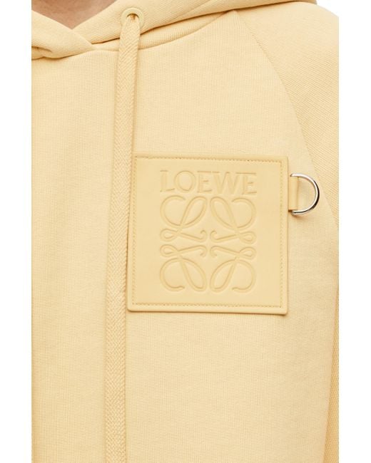 Loewe Multicolor Cropped Hoodie In Cotton