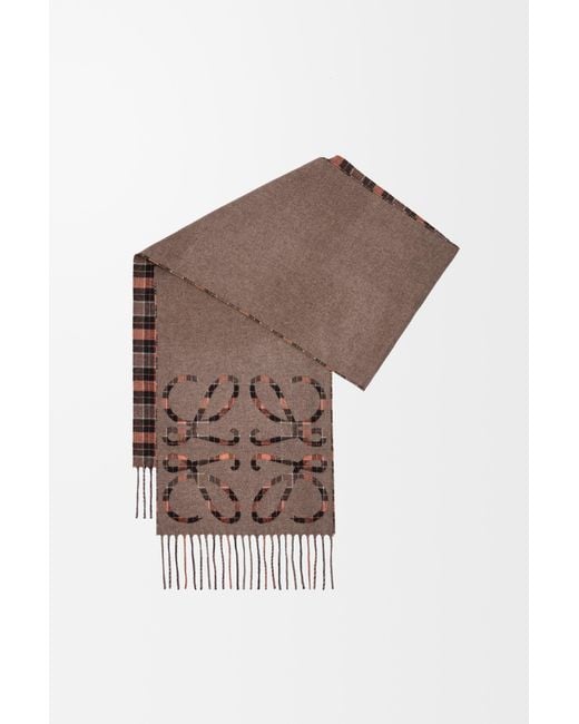 Loewe Multicolor Anagram Scarf