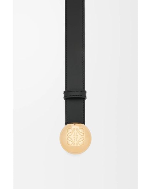 Loewe Multicolor Luxury Pebble Belt In Smooth Calfskin
