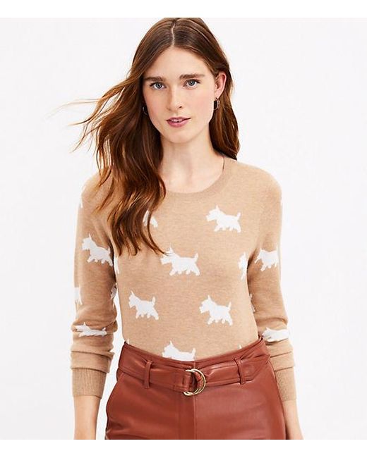 LOFT Scottie Dog Sweater in Brown 