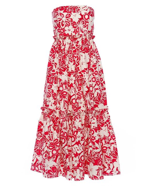 Cara Cara Cotton Torres Floral Pink Strapless Midi Dress | Lyst UK