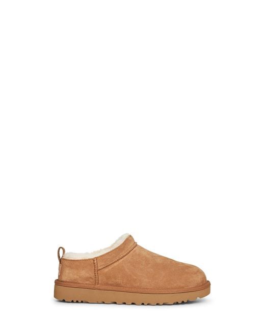 Ugg Brown Mules Classic Micro
