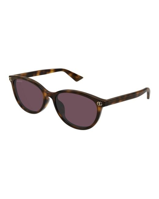 Gucci Brown Gg1818Sk 002