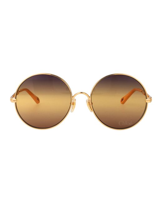 Chloé Brown Sunglasses