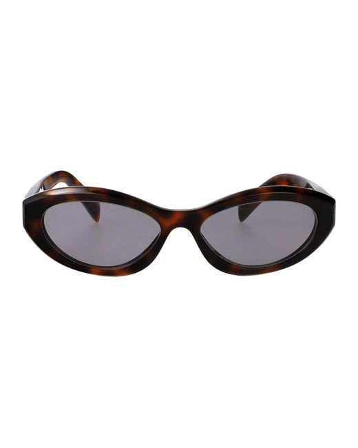 Prada Brown Acetate Sunglasses