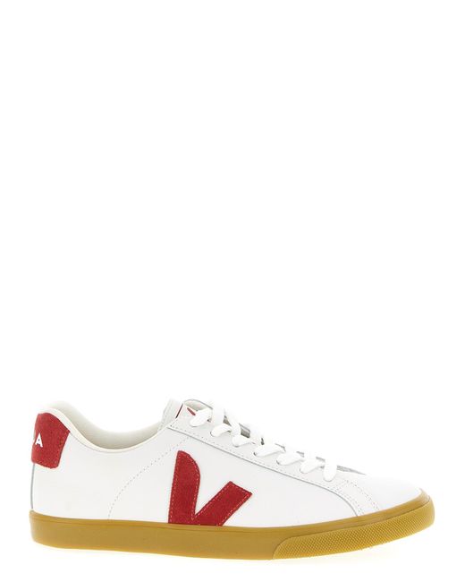 Women's White 'Esplar' Sneakers