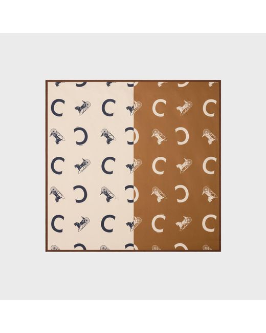 Women's Metallic Scarf