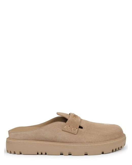Dior Brown Sabot Boy