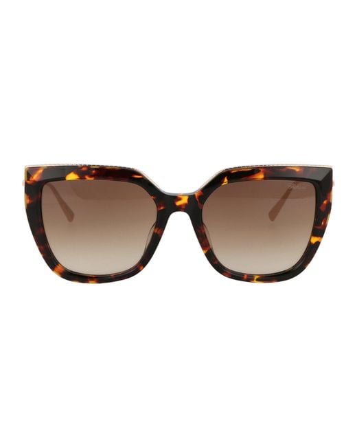 Chopard Brown Sunglasses Sch319 M 0745