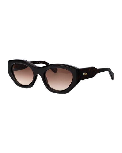 Women's Black Acetate Sunglasses