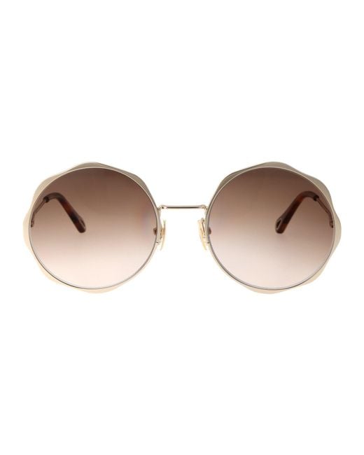 Women's Brown Sunglasses