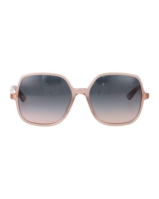 Women's Blue Acetate Sunglasses