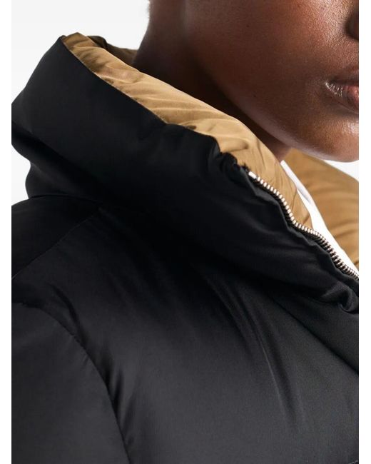 Prada Black Jackets