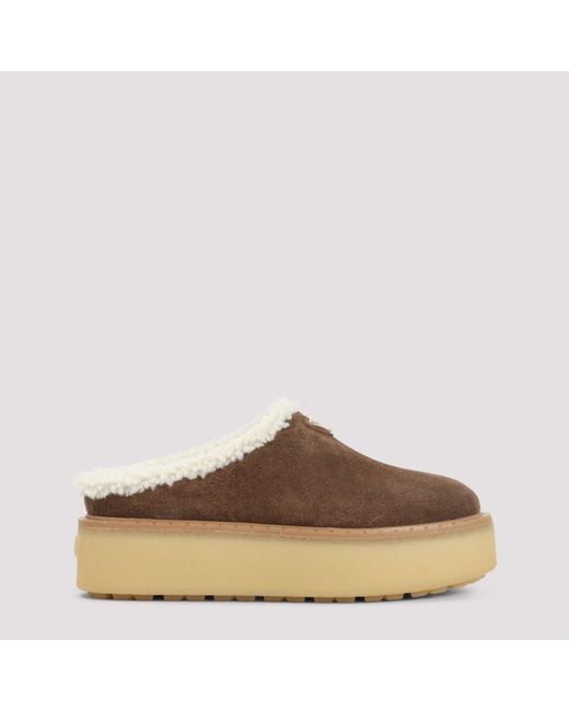 Prada Brown Mule