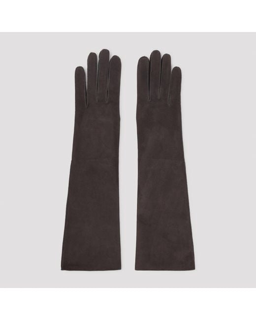 Lanvin Brown Gloves