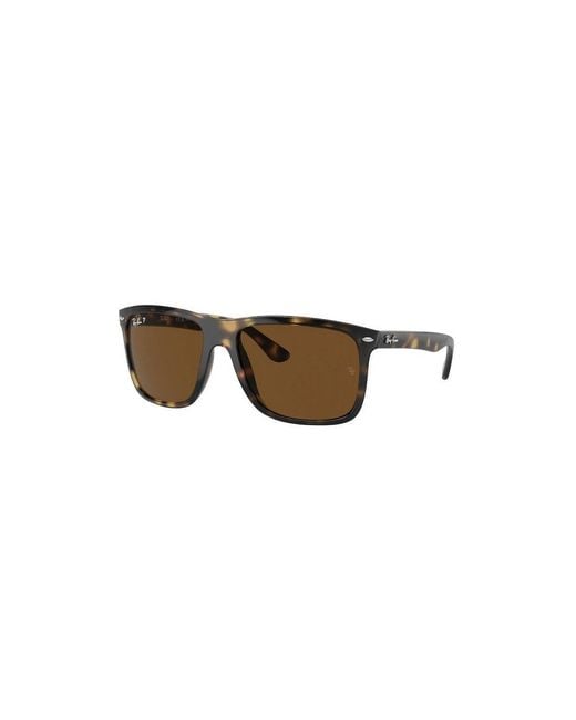 Ray-Ban Brown Sunglasses