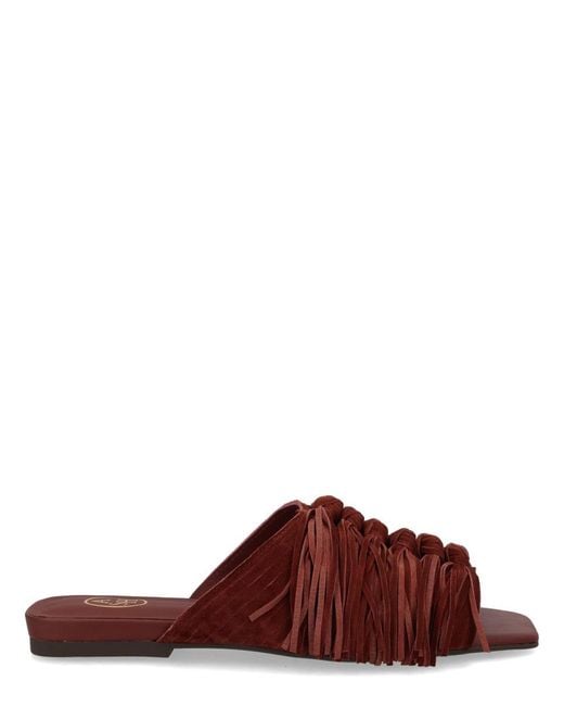 Ash Red Mule Brigitte