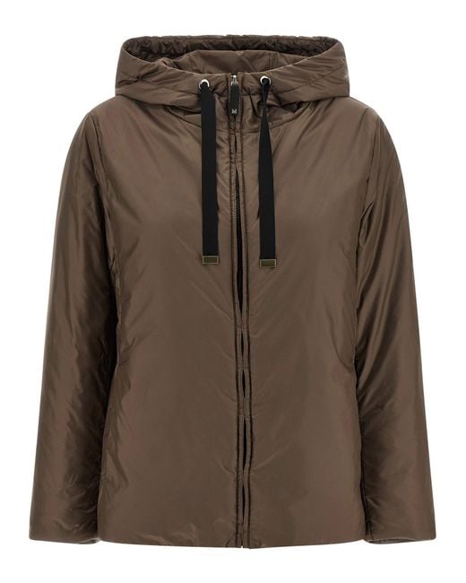 Max Mara Brown Greenh Jacket
