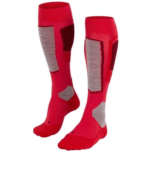 Falke Red Sk4