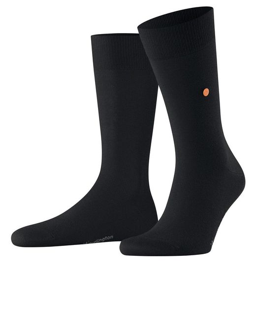Burlington Blue Lord for men