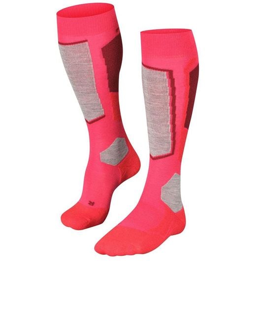 Falke Red Sk2