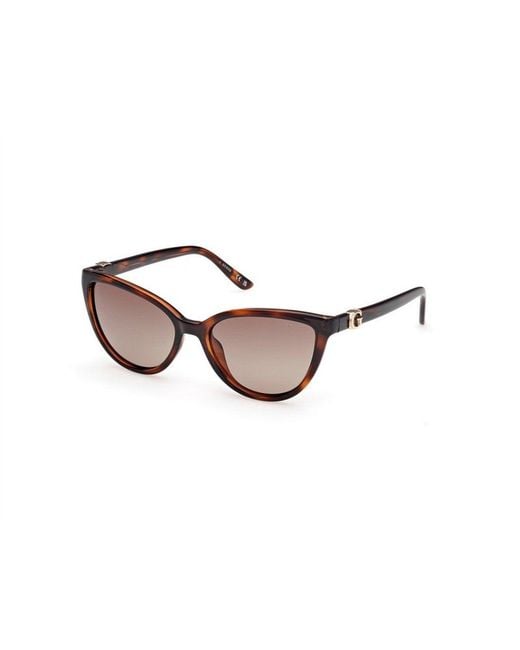 Guess Brown Gu00189 52H