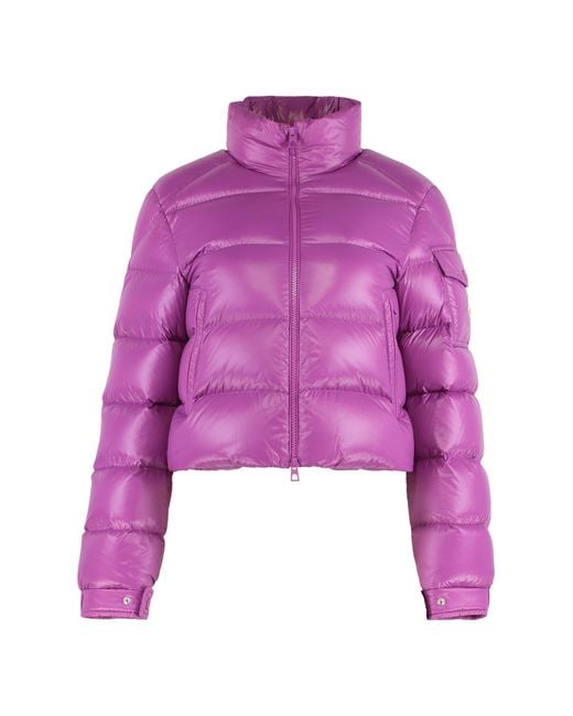Moncler Purple Piumino Corto Petra