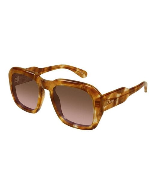 Chloé Brown Sunglasses