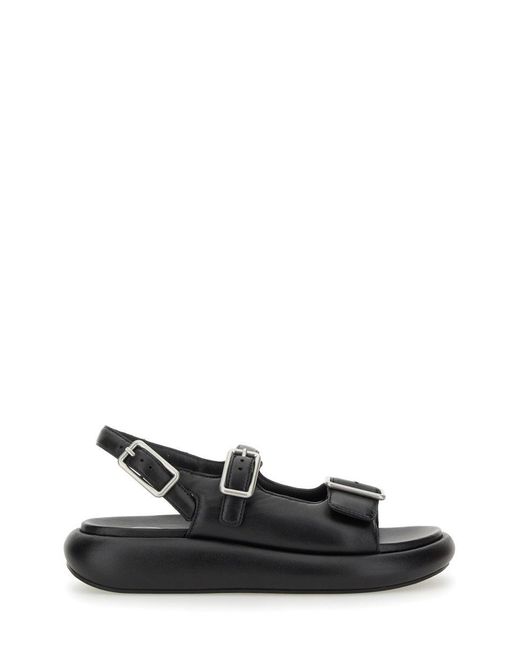 Ash Black Virgy" Sandal