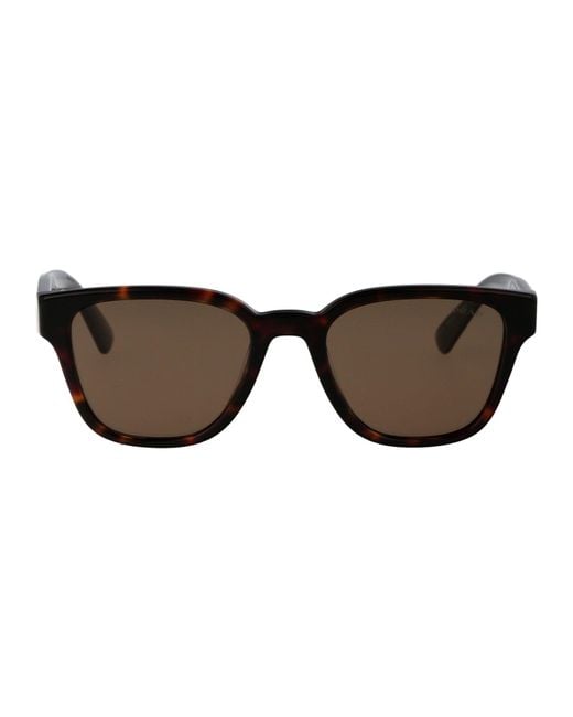 Prada Brown Sunglasses