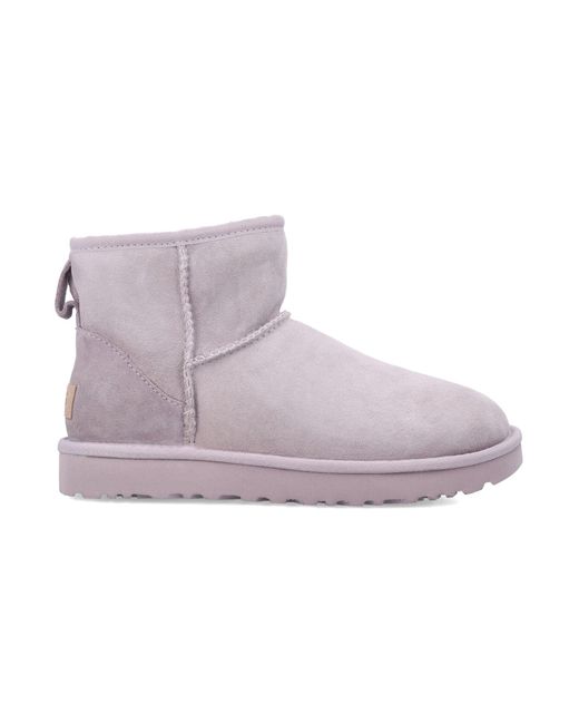 Ugg Purple Classic Mini Ii Suede Boots With Shearling Lining